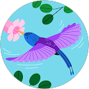 Shawanda A. Avatar