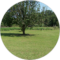 Farm L. Avatar